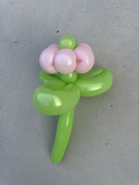 Balloon flower bouquet